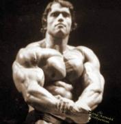 10 Arnold.jpg