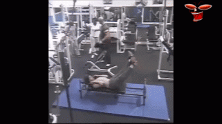 1460645779155864589.gif