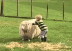 14604921871341135.gif