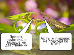 Снимок.PNG
