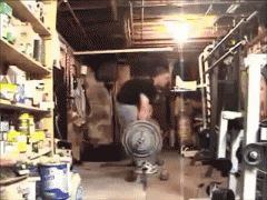 1460650598185819447.gif