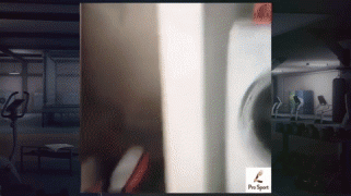 1460647697183260239.gif