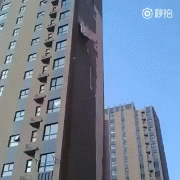 гифки-линька-3056416.gif