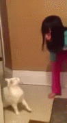1462018220185538670.gif