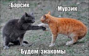 foto-prikoly-15042016-074.jpg