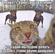 IMG-20160414-WA0000.jpg