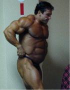 JOE DEANGELIS ROID GUT.jpg