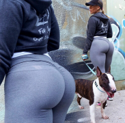 tumblr_o4wqgkpt6h1uxcii0o1_1280.png