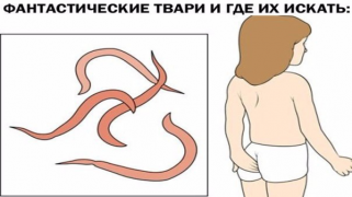 1491217361166565475.png