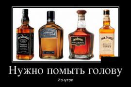 1419313442_095.jpg