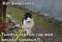 image.jpg