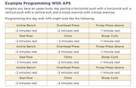 Eric Helms - TMaSP-Training v1.0.4.jpg