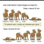 c3a90156b40d1a024d3bd9bc8a6bcfb1.jpg