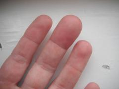 DSCF0074.JPG