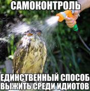 BsnYcx_Fe4Y.jpg