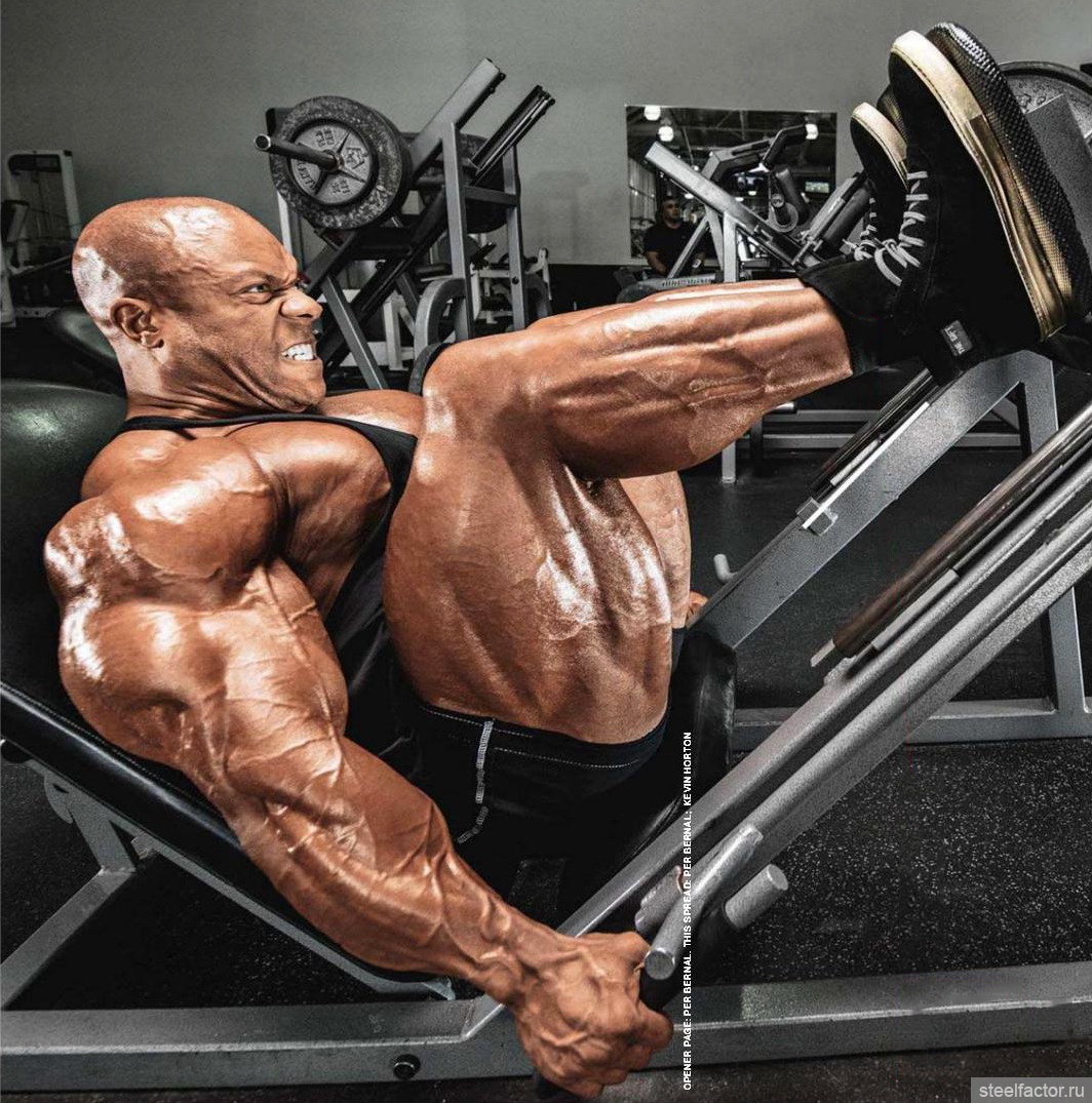 Phil Heath HD