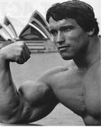 Arnold-Schwarzenegger-arms.jpg