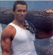 Arnold_Schwarzenegger_austrian_oak.jpg