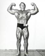 ArnoldSchwarzenegger.jpg