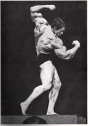 0arnie4.jpg