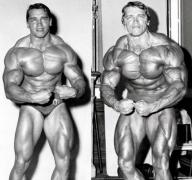 Arnold_Schwazeneggar.jpg