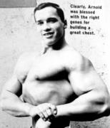 Arnold_Schwarzenegger.jpg