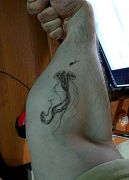 photo-127300.png