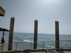 IMG_20190409_150722.jpg
