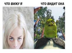 Capture.JPG