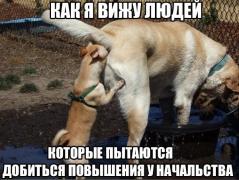 IMG-20200424-WA0040.jpg