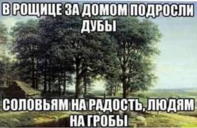 D89686D2-AC0A-4E0C-A5C0-43ED1F93544E_1_201_a.jpeg