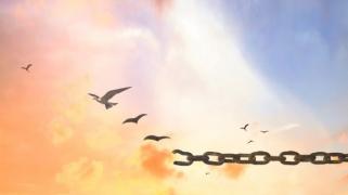 depositphotos_116276950-stock-photo-freedom-concept.jpg