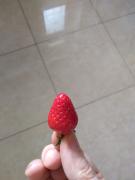 MI_28042021_152758.jpg