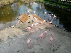 IMG_20210422_154023.jpg