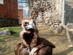 IMG_20210422_153750.jpg