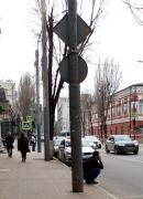 IMG_20210415_153951.jpg