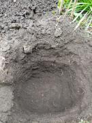 IMG_20210410_135339.jpg