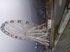 20220404_151753.jpg