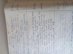 20220419_130015.jpg