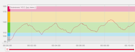 Пульсограмма 60х20.png