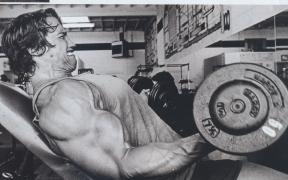 arn12.jpg