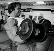 arn1.JPG