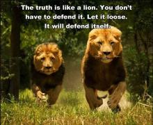 Lion.JPG