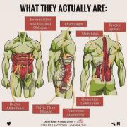 fitness_tipsters_1714224736801 — копия.jpeg