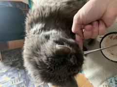 IMG_9010.jpeg