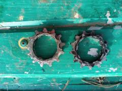 IMG_20250424_172129.jpg