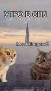 images.jpeg