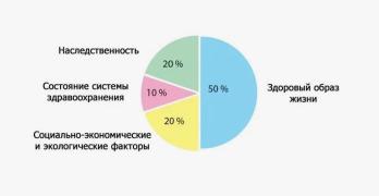 ОЖ01.jpg