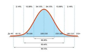 scale_1200 (1).jpg