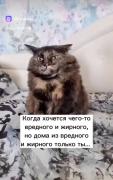 pkbnb9kxxlf46k8haewphg3la73p2nk60bc.jpg